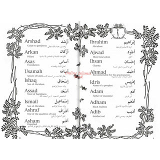2000 Arabian Baby Names