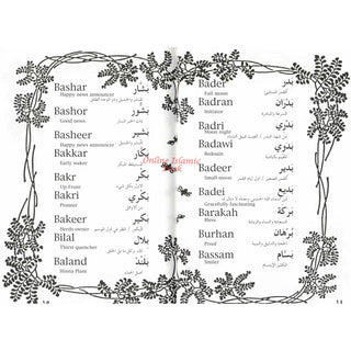 2000 Arabian Baby Names
