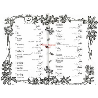 2000 Arabian Baby Names