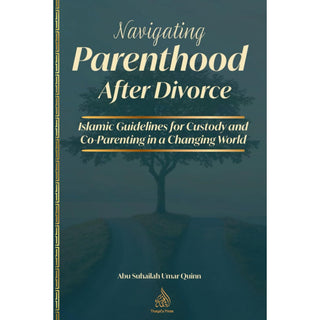 Navigating Parenthood after Divorce by Umar Quinn
ISBN: 97988300827281