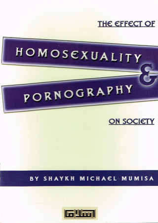 The Effect of Homosexuality Pornography on Society,9781902570303,