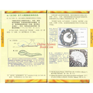 A Brief Illustrated Guide to understand Islam in Chinese Language ISBN: 9789960571904