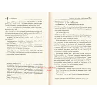 A Lost Etiquette by Muhammad Ismail al-Muqaddim
ISBN: 9786035013512