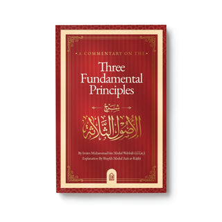 A Commentary on the Three Fundamental Principles
ISBN: 9798899012952