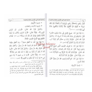 Al-Mubaadee Al-Mufeed المبادئ المفيدة (Arabic) by Yahya bin Ali al-Hajouri