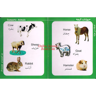 Big Ideas for Little Mind Animal (Arabic/English)