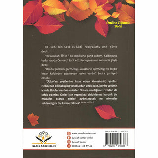 Cennet’in Özellikleri (Turkish Language)