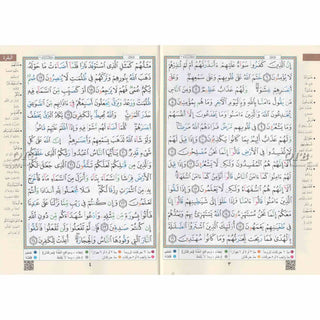 Color Coded (Tajweed) Quran in 30 Parts(Separate Juz) Regular Full Size with Leather Holding Case (Uthmani Arabic script Arabic Only)