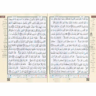 Color Coded (Tajweed) Quran in 30 Parts(Separate Juz) Regular Full Size with Leather Holding Case (Uthmani Arabic script Arabic Only)