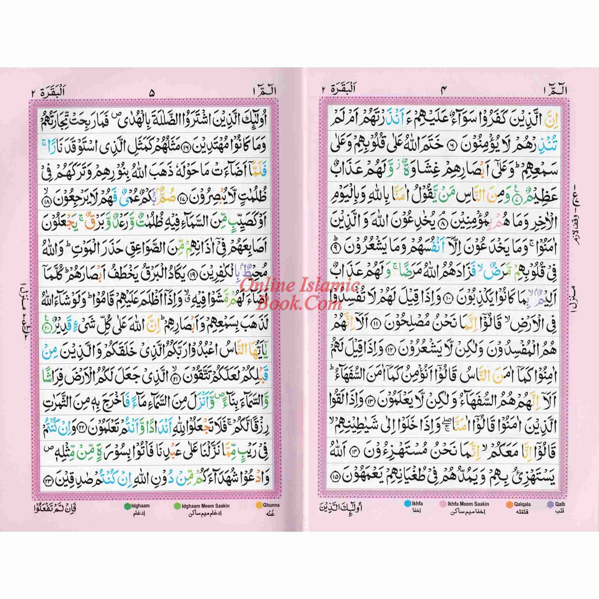 Holy Quran Color Coded 15 Line - Medium Size, Ref 226 – Online Islamic Book