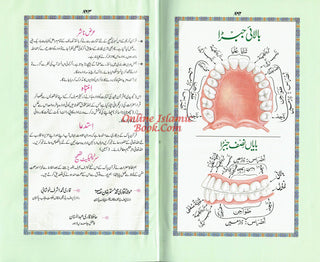 Holy Quran Colour Coded Tajweed Quran,13 Lines-Tajweedi Quran Ref H-36