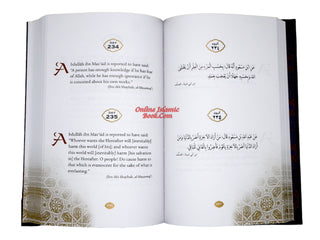 Daily Wisdom: Sayings of the Companions of the Prophet By Abdur Raheem Kidwai,9781847741912,