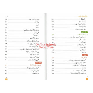 Islami Fatuhat ka Tabnak Dour(Urdu Language)اسلامی فتوحات کا تابناک دور