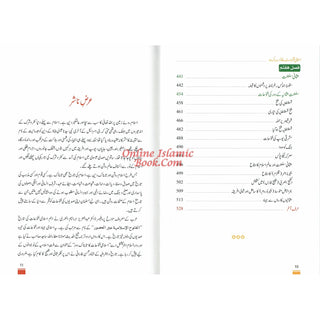 Islami Fatuhat ka Tabnak Dour(Urdu Language)اسلامی فتوحات کا تابناک دور