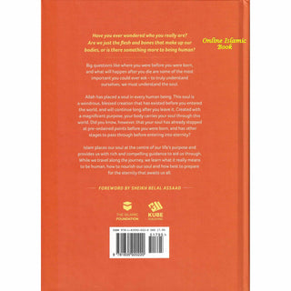 Journey of The Soul Heading Home
ISBN: 9781835920220