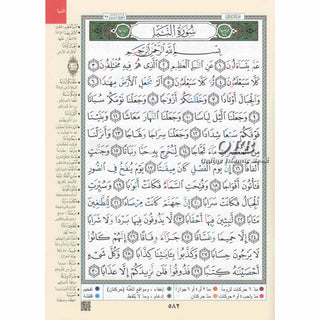 Juz Amma Tajweed Quran( Arabic Edition )( Part 30 Only) (Extra Large)
