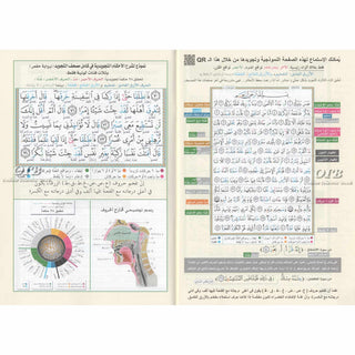 Juz Amma Tajweed Quran( Arabic Edition )( Part 30 Only) (Standard Size Large Font)