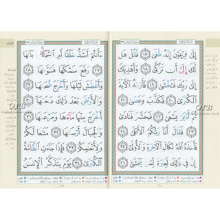Juz Amma Tajweed Quran( Arabic Edition )( Part 30 Only) Large Font
