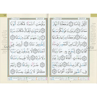 Juz Amma Tajweed Quran( Arabic Edition )( Part 30 Only) Large Font