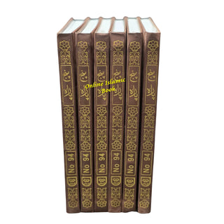 Panj Parah Holy Quran 6 Volume Set-9 Lines-Ref 94
ISBN: 9782987465454