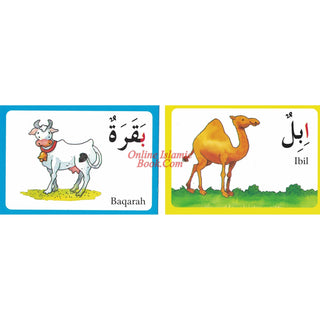 Quran Stories For Kids By Saniyasnain Khan