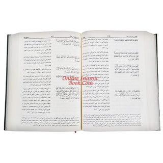 Quran in Sindhi Language, Arabic with Sindhi Translation