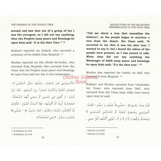 Reflections on the believers' resemblance to the date tree