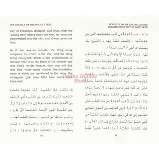 Reflections on the believers' resemblance to the date tree