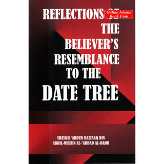 Reflections on the believers' resemblance to the date tree