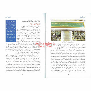 Sabit Bin Qais (Khateeb E Rasool) (Urdu Language) By Abdul Malik Mujahid