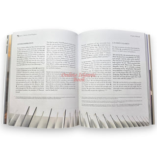 Stories of the Prophets By Mufti Menk & Dr Salah Sharief
ISBN: 9781919421834