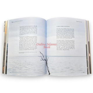 Stories of the Prophets By Mufti Menk & Dr Salah Sharief
ISBN: 9781919421834