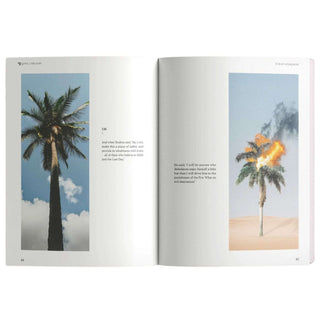 Surah Al-Baqarah | The Cow by Abdalhaqq Bewley
ISBN: 9781399949972