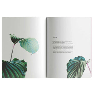 Surah Al-Baqarah | The Cow by Abdalhaqq Bewley
ISBN: 9781399949972