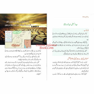 Syedn Suhail Bin Umro R.A By Abdul Malik Mujahid