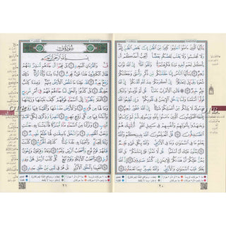 Tajweed Qur'an (From Al-Ahqaf to Al-Nas) (Arabic Edition)