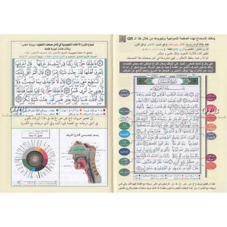 Tajweed Qur'an (From Al-Ahqaf to Al-Nas) (Arabic Edition)