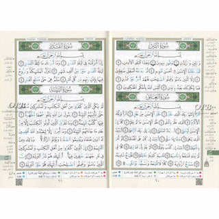 Tajweed Qur'an (Juz Amma, Juz Tabarak, Juz Qad Same'a ,3 Parts Of Quran) (Arabic Edition)