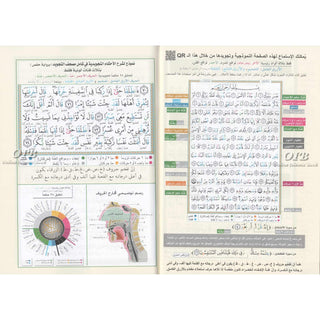 Tajweed Qur'an (Juz Amma, Juz Tabarak, Juz Qad Same'a ,3 Parts Of Quran) (Arabic Edition)