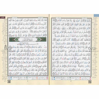 Tajweed Qur'an ( Juz Tabarak, Juz Amma,) (Arabic Edition)