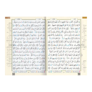 Tajweed Qur'an (Whole Qur'an, Qaloon Narration) Arabic Edition By Dar Al Marifah