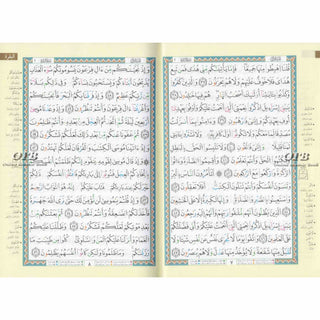Tajweed Quran-Douri Reading (Arabic Edition)&nbsp;