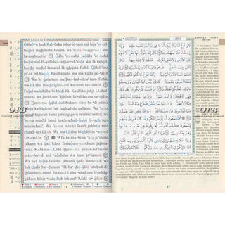 Tajweed Quran In German Translation (Arabic To German Translation)