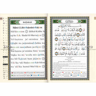 Tajweed Quran In German Translation (Arabic To German Translation)