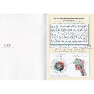 Tajweed Quran Surah Al-Baqarah  (Arabic Only)