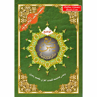 Tajweed Quran (Robo Yaseen) (Arabic Edition)