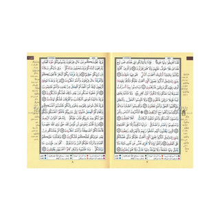 Tajweed Quran,Flexible Cover, Hafs Narration,Small Size (Colors May Vary) (Arabic Edition)
