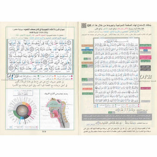 Tajweed Quran (Robo Yaseen) (Arabic Edition)