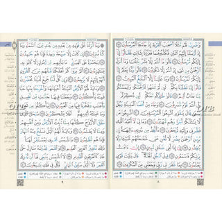 Tajweed Quran (Robo Yaseen) (Arabic Edition)