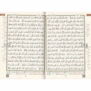 Tajweed Quran in Arabic Language (Deluxe) Large Size